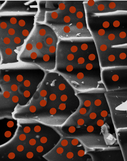 biochar-2