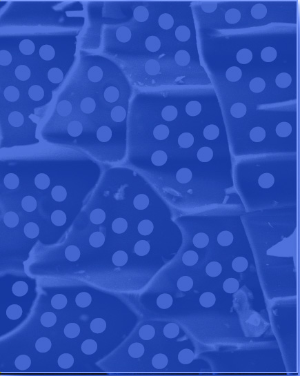 biochar-3
